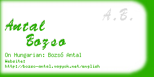 antal bozso business card